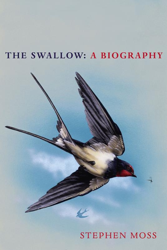 The Swallow