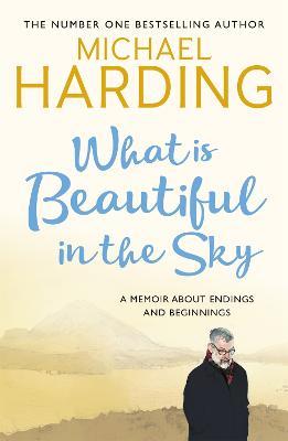 What is Beautiful in the Sky: A book about endings and beginnings - Michael Harding - cover