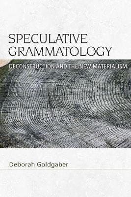 Speculative Grammatology: Deconstruction and the New Materialism - Deborah Goldgaber - cover