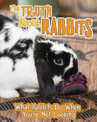 The Truth about Rabbits: What Rabbits Do When You're Not Looking - Mary Colson - cover