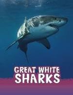 Great White Sharks