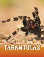 Tarantulas - Jaclyn Jaycox - cover