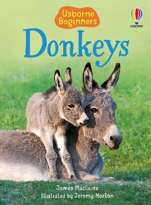 Donkeys - James Maclaine - cover