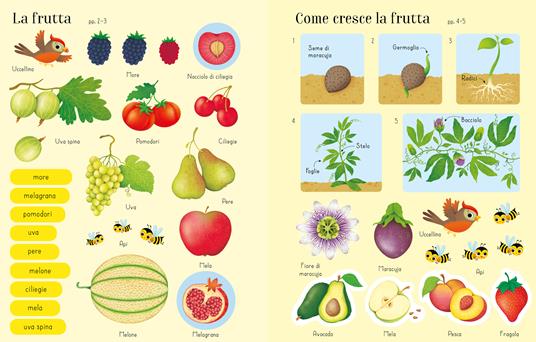 Frutta e ortaggi. Libri con adesivi. Ediz. a colori - Hannah Watson - Libro  - Usborne - | IBS