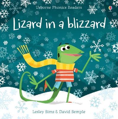 Lizard in a blizzard. Ediz. a colori - Lesley Sims - copertina