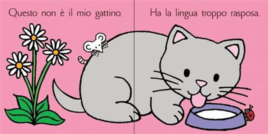 Dov'è il mio gattino? Ediz. a colori - Fiona Watt - Libro - Usborne -  Carezzalibri