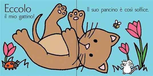 Usborne - Dov'è il mio gattino? - Cartolibreria Gianna