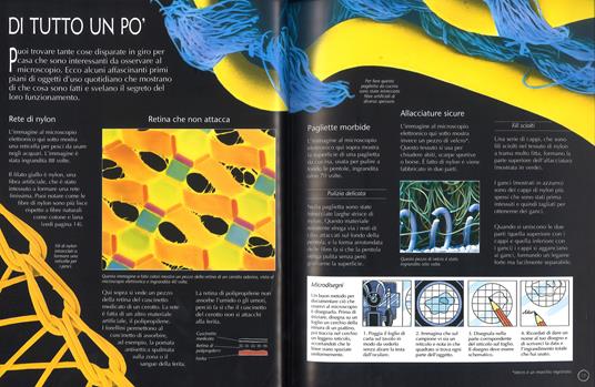Guida completa al microscopio. Con aggiornamento online - Kirsteen Rogers -  Libro - Usborne Publishing - Esperimenti scientifici | IBS