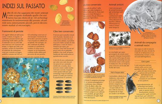 Guida completa al microscopio. Con aggiornamento online - Kirsteen Rogers -  Libro - Usborne Publishing - Esperimenti scientifici | IBS