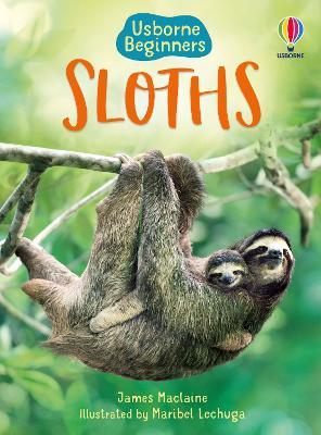 Sloths - James Maclaine - cover
