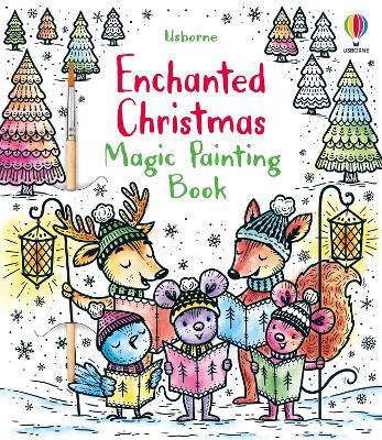 Enchanted Christmas Magic Painting Book - Fiona Watt - cover