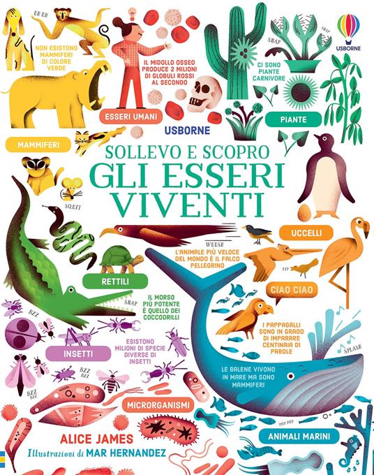 Gli esseri viventi. Ediz. a colori - Alice James - copertina