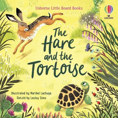 The Hare and the Tortoise - Lesley Sims - cover
