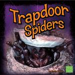 Trapdoor Spiders