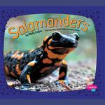 Salamanders