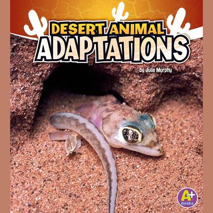 Desert Animal Adaptations