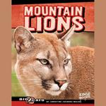 Mountain Lions