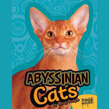 Abyssinian Cats