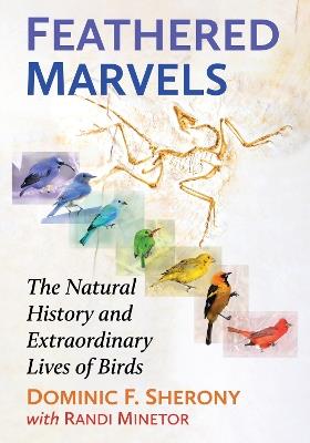 Feathered Marvels: The Natural History and Extraordinary Lives of Birds - Dominic F. Sherony,Randi Minetor - cover