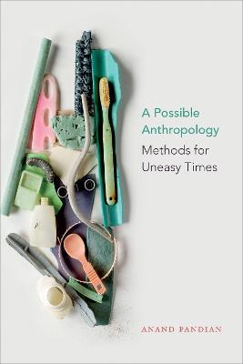A Possible Anthropology: Methods for Uneasy Times - Anand Pandian - cover