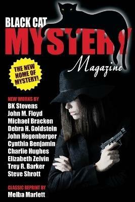 Black Cat Mystery Magazine #2 - John Hegenberger,Michael Bracken,John M Floyd - cover
