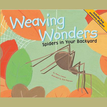 Weaving Wonders