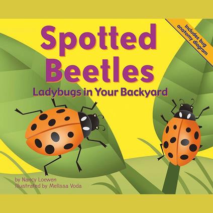 Spotted Beetles