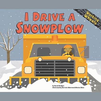 I Drive a Snowplow