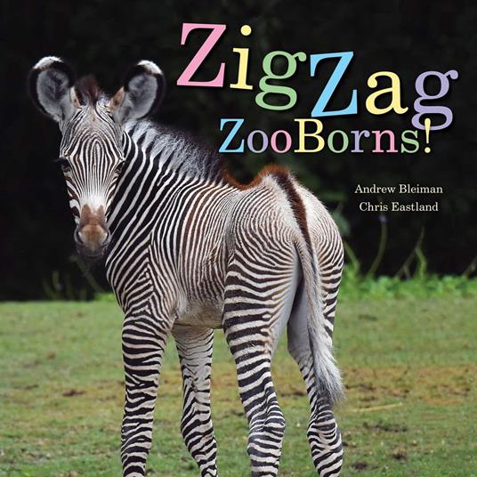 ZigZag ZooBorns! - Andrew Bleiman,Chris Eastland - ebook