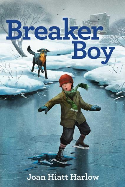 Breaker Boy - Joan Hiatt Harlow - ebook