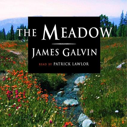 The Meadow