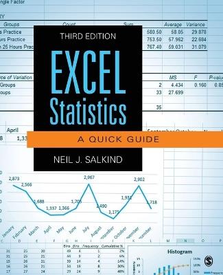 Excel Statistics: A Quick Guide - Neil J. Salkind - cover