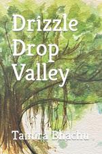 Drizzle Drop Valley