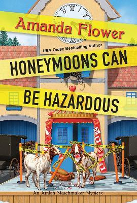 Honeymoons Can Be Hazardous - Amanda Flower - cover