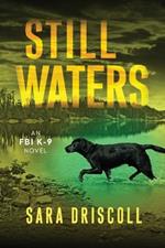 Still Waters: A Riveting Novel of Suspense