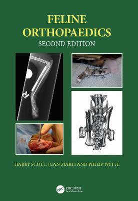 Feline Orthopaedics - Harry Scott,Juan M. Marti,Philip Witte - cover