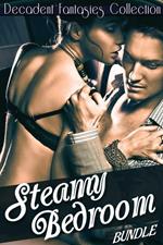 Steamy Bedroom Bundle (Gay Cowboy, Cheating, Babysitter Fantasy)