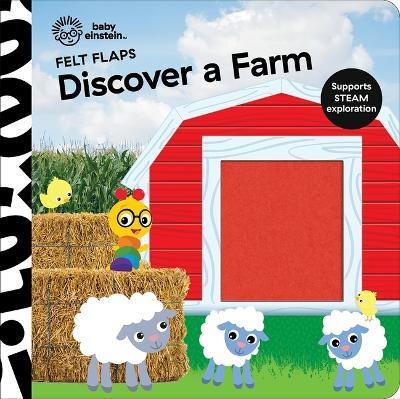 Baby Einstein Discover A Farm Felt Flaps - P I Kids - cover