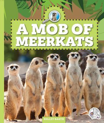 A Mob of Meerkats - Kelley Barth - cover