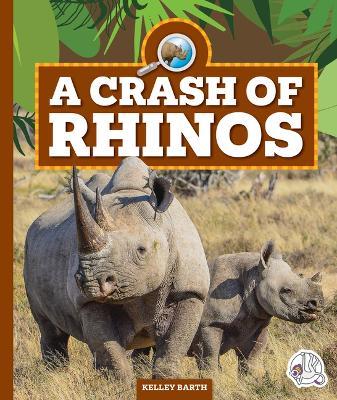 A Crash of Rhinos - Kelley Barth - cover