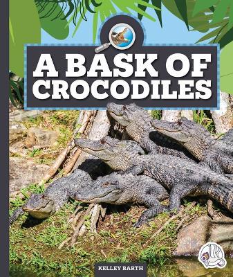 A Bask of Crocodiles - Kelley Barth - cover