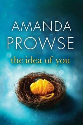 The Idea of You - Amanda Prowse - cover