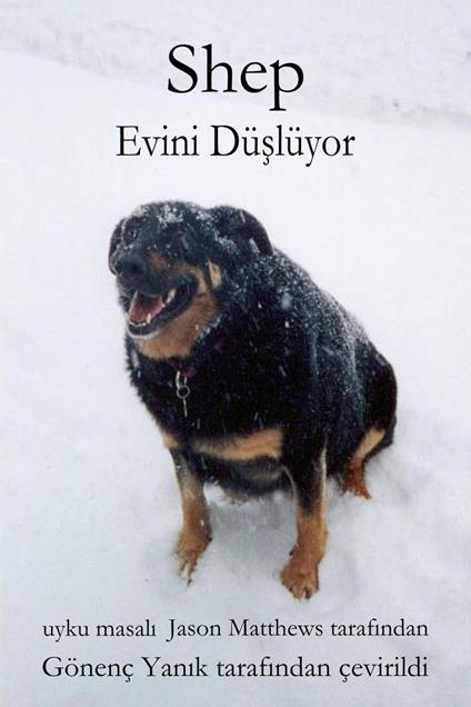 Shep Evini Düslüyor - Jason Matthews - ebook