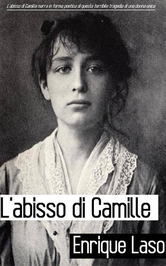 L'abisso di Camille - Enrique Laso - ebook