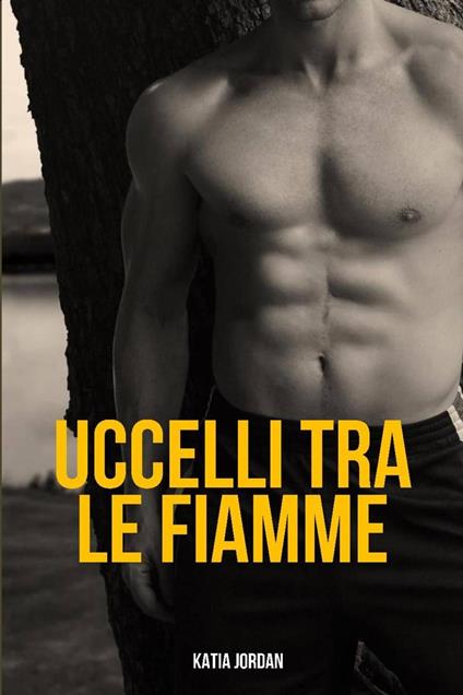 Uccelli tra le fiamme - Katia Jordan - ebook