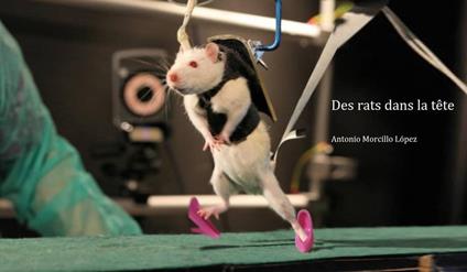 Des rats dans la tête