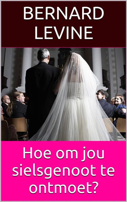 Hoe om jou sielsgenoot te ontmoet? - Bernard Levine - ebook