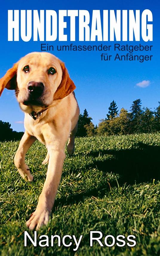 Hundetraining - Ein umfassender Ratgeber für Anfänger