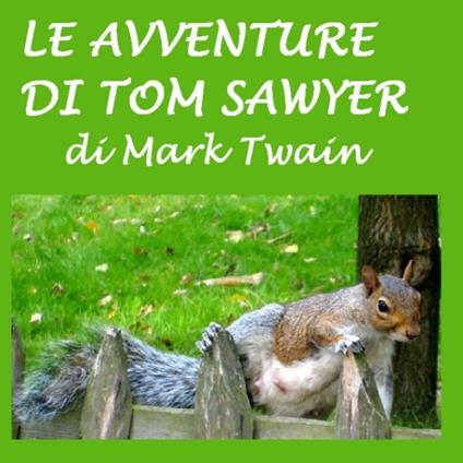 Avventure di Tom Sawyer, Le