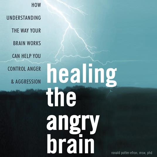 Healing the Angry Brain